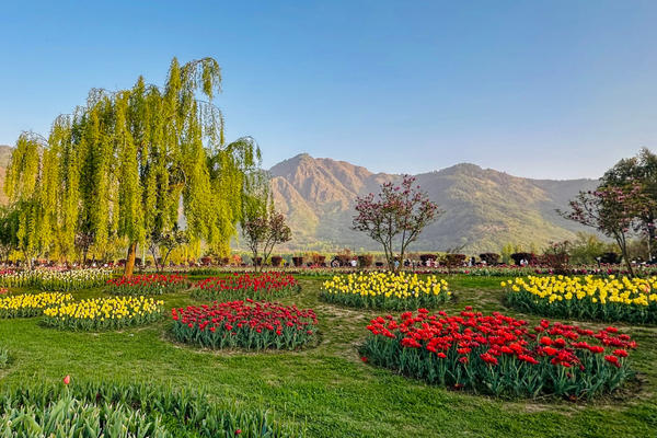 Mughal Gardens
