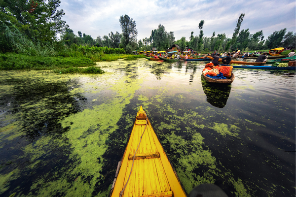Honeymoon Package Kashmir Tour 0...