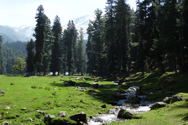 Kashmir Valley Tour 03 Nights/ 0...